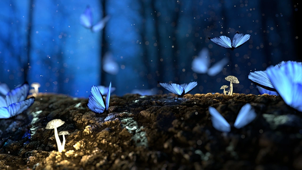 blog banner